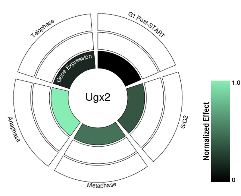 Circle plot not available