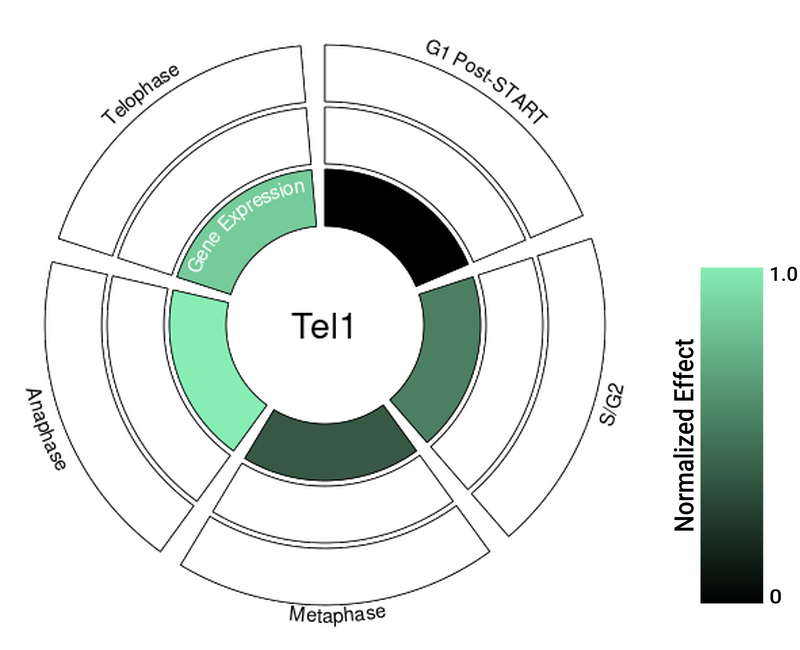 Circle plot not available