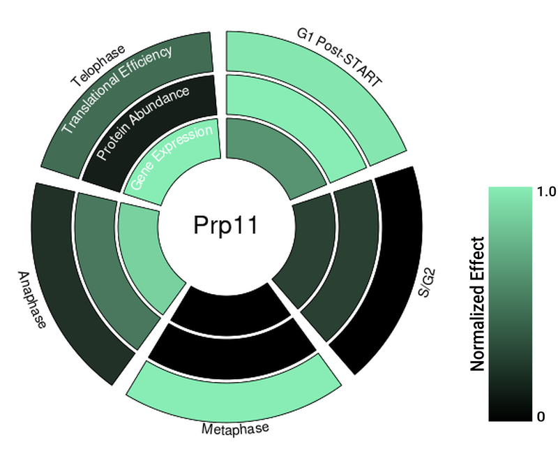 Circle plot not available