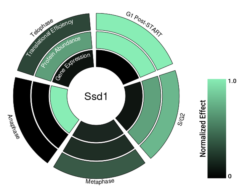 Circle plot not available