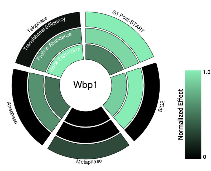 Circle plot not available