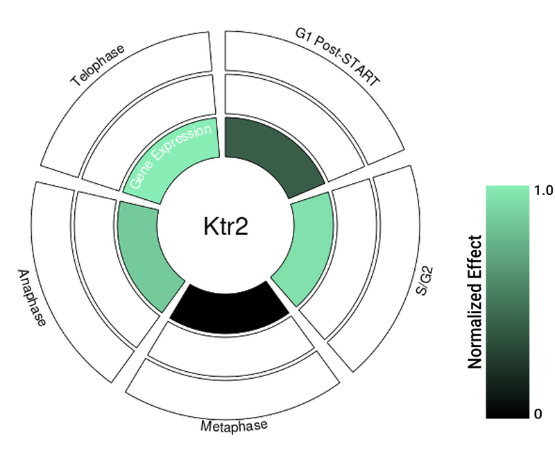 Circle plot not available