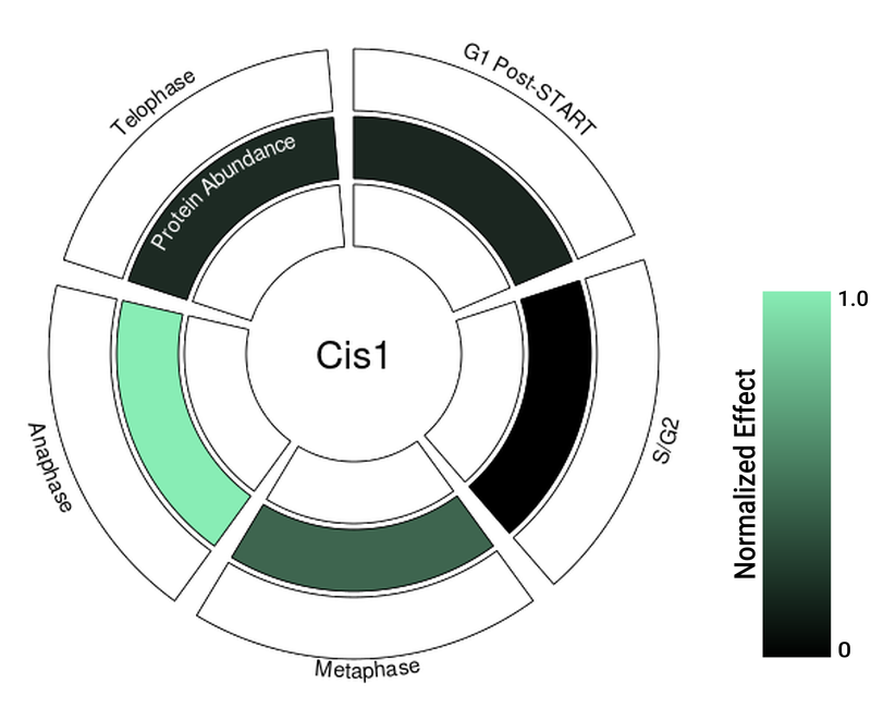 Circle plot not available
