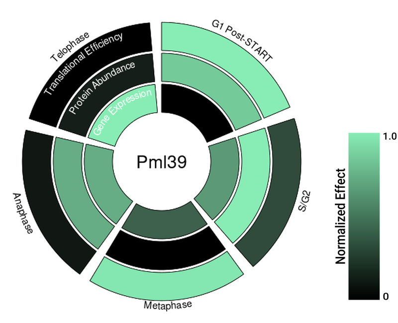 Circle plot not available