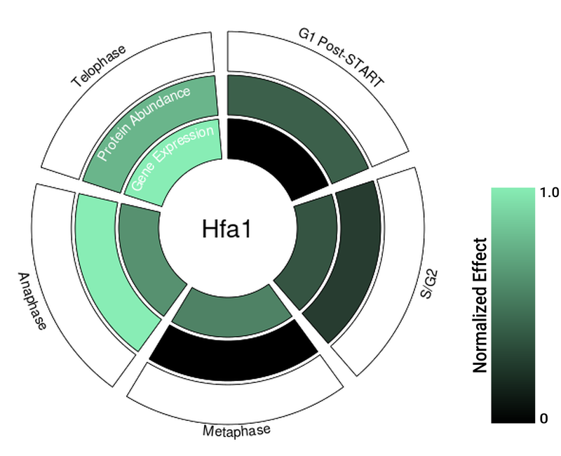 Circle plot not available