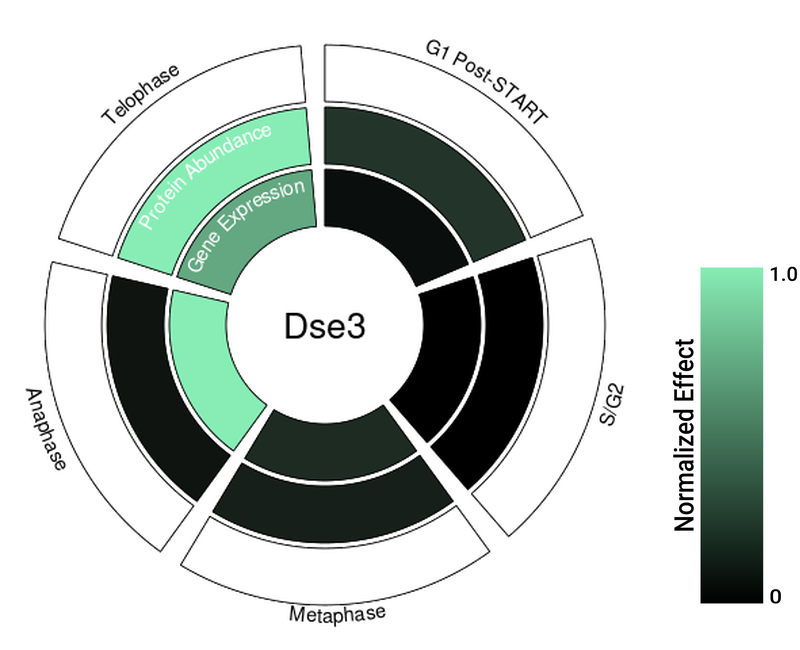 Circle plot not available