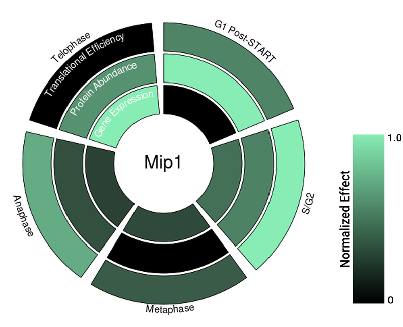Circle plot not available