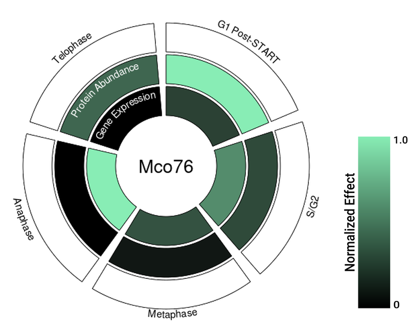Circle plot not available